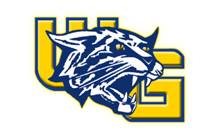 WEST GENESEE FOOTBALL