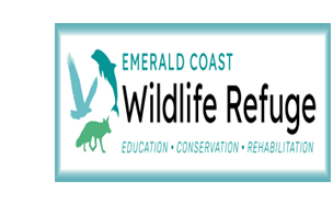 EMERALD COAST 