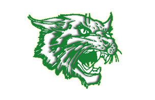 ARUNDEL SOFTBALL